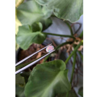 0.72 Ct. Semi-Black Opal from Australia Life Style