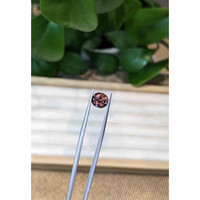 1.84 Ct. Tourmaline from Brazil Life Style