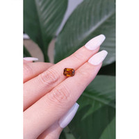 1.71 Ct. Tourmaline from Mozambique Life Style