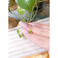 1.27 Ct. Peridot from Pakistan Life Style