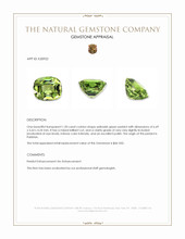 1.20 Ct. Peridot from Pakistan Appraisal