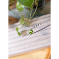 1.35 Ct. Peridot from Pakistan Life Style