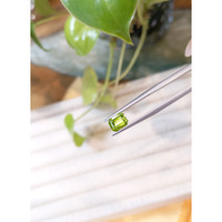 1.63 Ct. Peridot from Pakistan Life Style