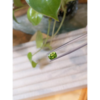 1.60 Ct. Peridot from Pakistan Life Style