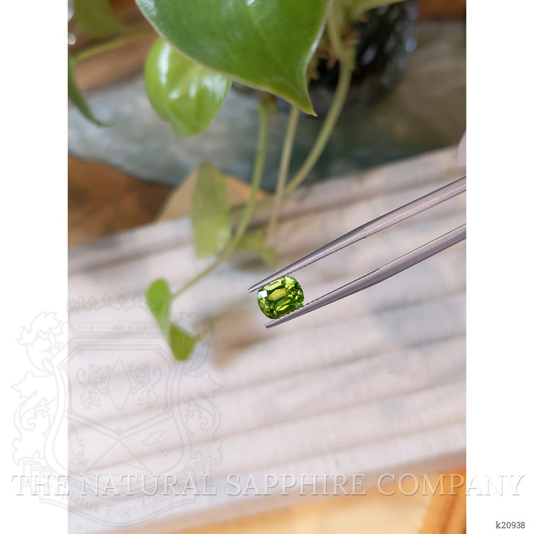 1.60 Ct. Peridot from Pakistan