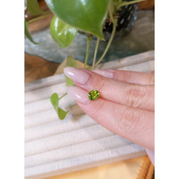 1.60 Ct. Peridot from Pakistan Life Style