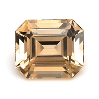 2.50 Ct. Tourmaline from Mozambique Video