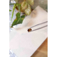 0.80 Ct. Zircon from Tanzania Life Style