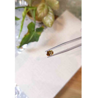 1.00 Ct. Zircon from Tanzania Life Style