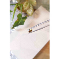 0.93 Ct. Zircon from Tanzania Life Style