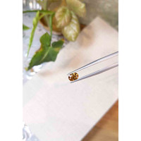 0.89 Ct. Zircon from Tanzania Life Style