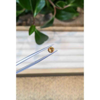 0.70 Ct. Zircon from Tanzania Life Style