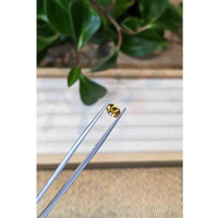 0.92 Ct. Zircon from Tanzania Life Style