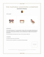 1.13 Ct. Tourmaline from Mozambique Appraisal