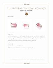 1.27 Ct. Multi Color Tourmaline from Mozambique Appraisal