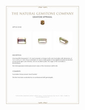 1.32 Ct. Multi Color Tourmaline from Mozambique Appraisal