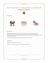 1.57 Ct. Tourmaline from Mozambique Appraisal