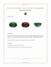 0.60 Ct. Alexandrite from Brazil Appraisal