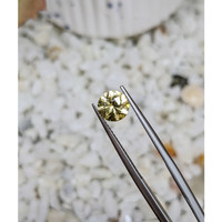 1.63 Ct. Zircon from Ceylon (Sri Lanka) Life Style