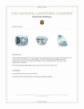 4.59 Ct. Greenish Blue Aquamarine from Tanzania Appraisal