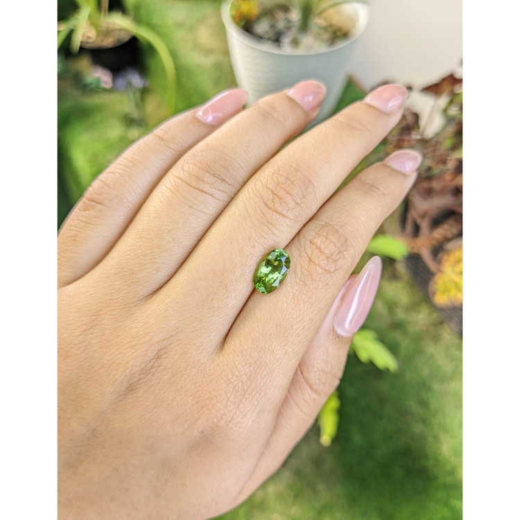 2.67 Ct. Tsavorite Garnet from Tanzania