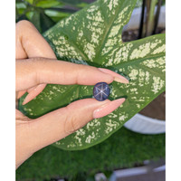 9.50 Ct. Violet Star Spinel from Ceylon (Sri Lanka) Life Style