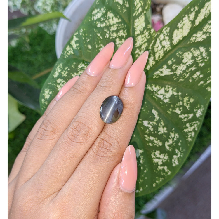 8.06 Ct. Cabochon Alexandrite from Tanzania