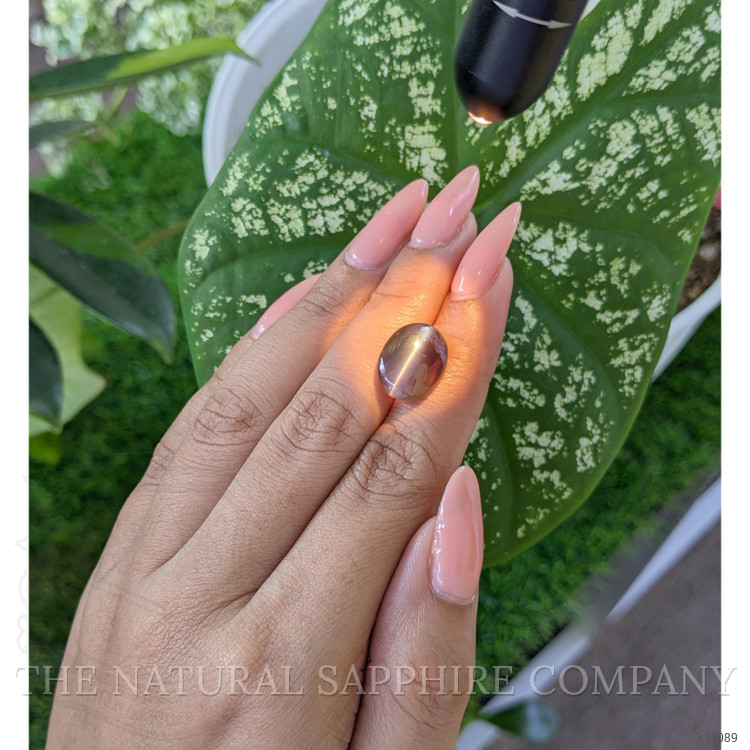 8.06 Ct. Cabochon Alexandrite from Tanzania