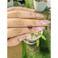 1.97 Ct. Spinel from Ceylon (Sri Lanka) Life Style