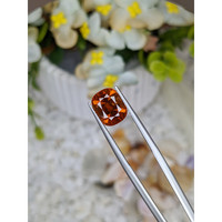 4.03 Ct. Hessonite Garnet from Madagascar Life Style