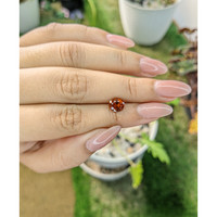 1.63 Ct. Hessonite Garnet from Madagascar Life Style