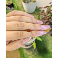 1.41 Ct. Hessonite Garnet from Madagascar Life Style