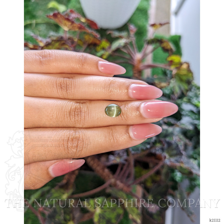 2.75 Ct. Cabochon Alexandrite from Ceylon (Sri Lanka)