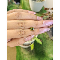 1.45 Ct. Chrysoberyl from Ceylon (Sri Lanka) Life Style