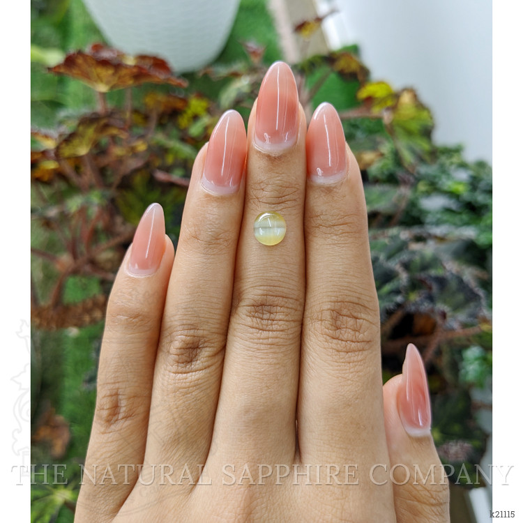 2.53 Ct. Cabochon Chrysoberyl from Ceylon (Sri Lanka)