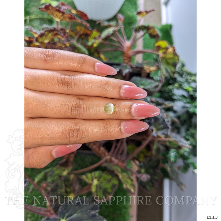 2.53 Ct. Cabochon Chrysoberyl from Ceylon (Sri Lanka)