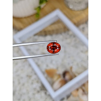 1.73 Ct. Garnet from Ceylon (Sri Lanka) Life Style