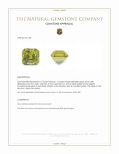 2.74 Ct. Yellowish Green Zircon from Ceylon (Sri Lanka) Appraisal