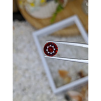 2.49 Ct. Garnet from Ceylon (Sri Lanka) Life Style