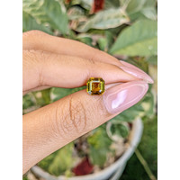 1.57 Ct. Tourmaline from Ceylon (Sri Lanka) Life Style