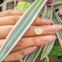 2.37 Ct. Cabochon White Opal from Brazil Life Style