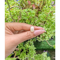 2.52 Ct. Cabochon White Opal from Brazil Life Style
