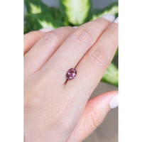 1.11 Ct. Tourmaline from Mozambique Life Style
