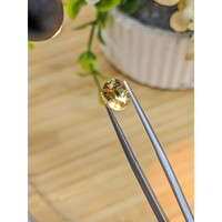 2.01 Ct. Alexandrite from Ceylon (Sri Lanka) Life Style