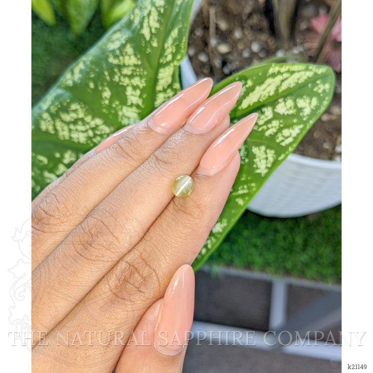 1.21 Ct. Greenish Yellow Cabochon Chrysoberyl from Ceylon (Sri Lanka)