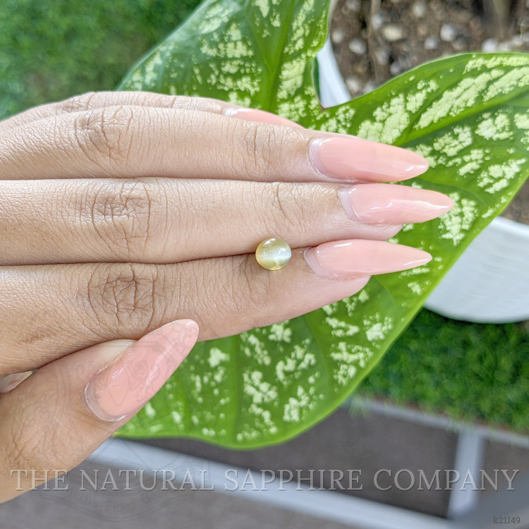 1.21 Ct. Greenish Yellow Cabochon Chrysoberyl from Ceylon (Sri Lanka)