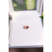 1.32 Ct. Tourmaline from Mozambique Life Style