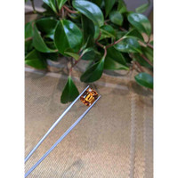 9.17 Ct. Citrine from Brazil Life Style