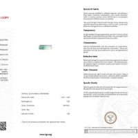 5.60 Ct. Tourmaline from Mozambique Scan Report