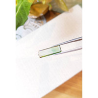 5.60 Ct. Tourmaline from Mozambique Life Style